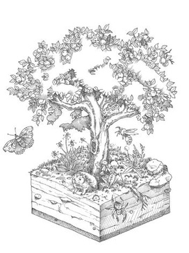 Illustration Baum Streuobstwiese 