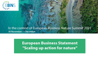 Cover des neuen European Business Statement